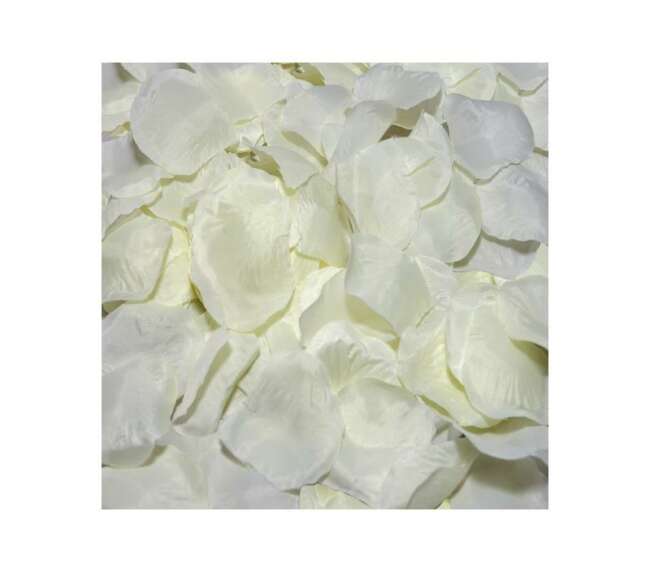 100 Petals Color Vanilla