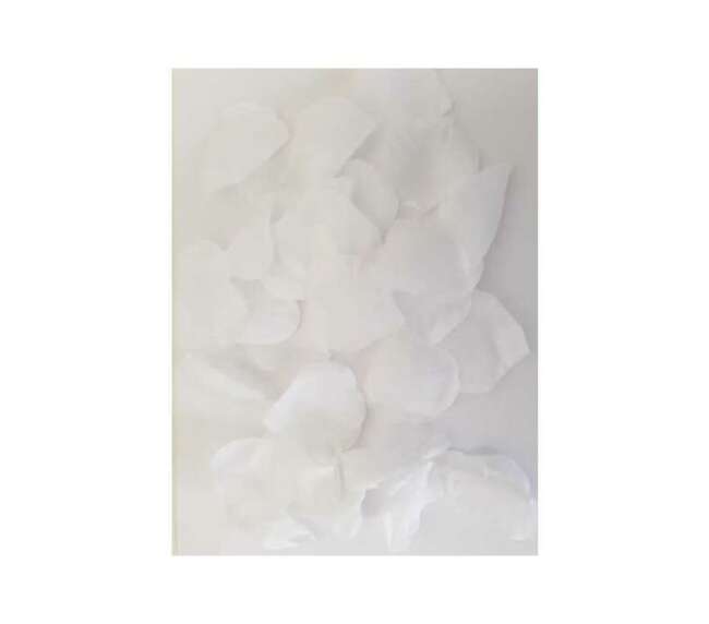 100 Petals White