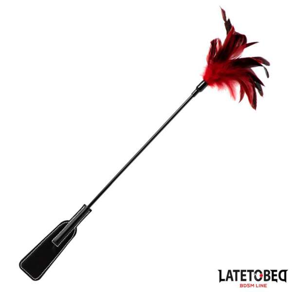 2-in-1 Paddle with feather – Image 3