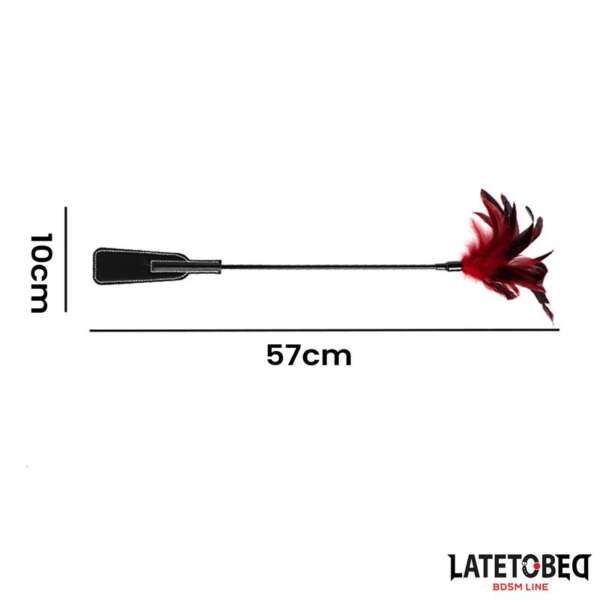 2-in-1 Paddle with feather – Image 5