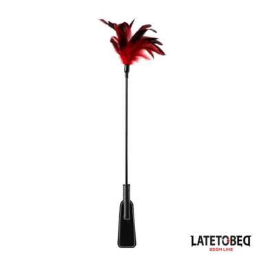 2-in-1 Paddle with feather