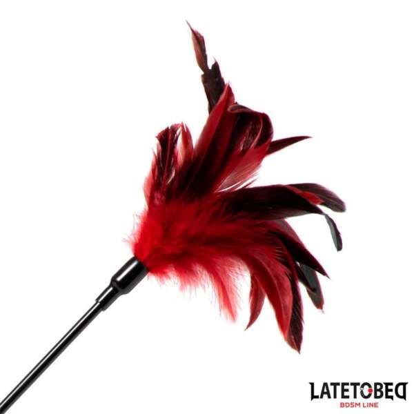 2-in-1 Paddle with feather – Image 6