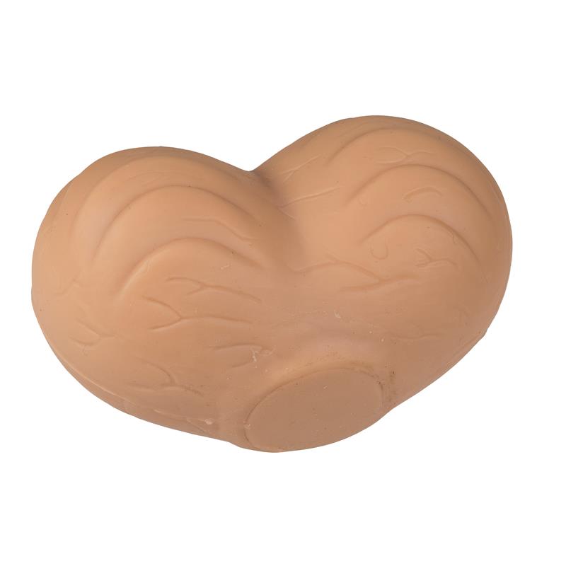 Anti Stress Ball Testicle – Image 3