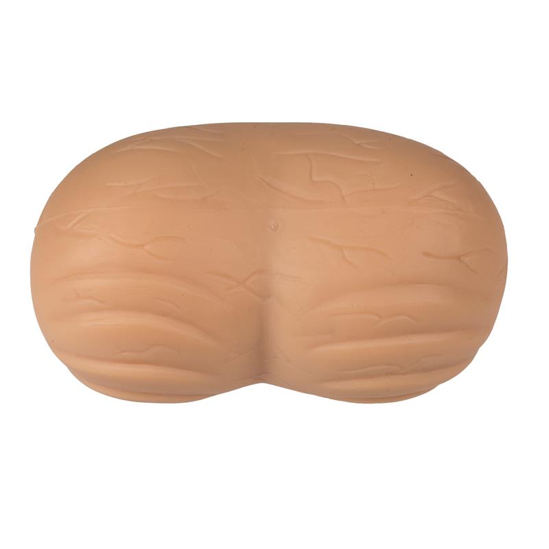 Anti Stress Ball Testicle – Image 5