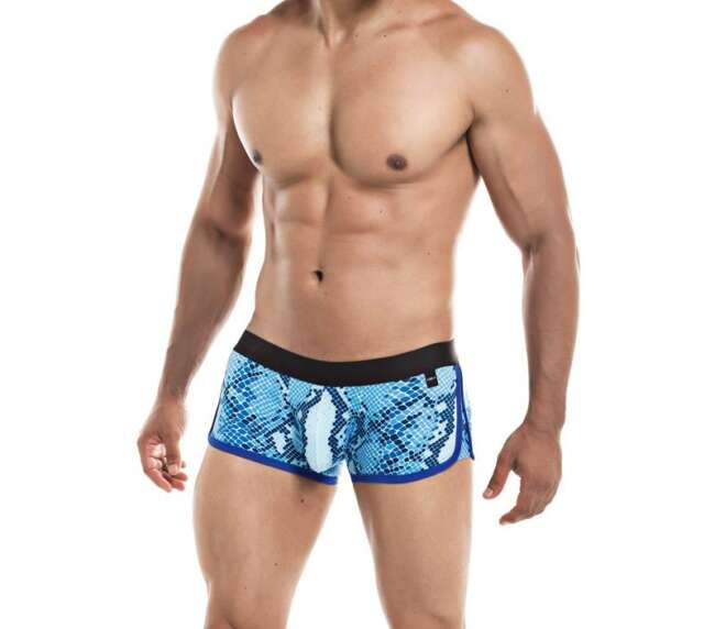 Athletic Boxer Provocative Snake