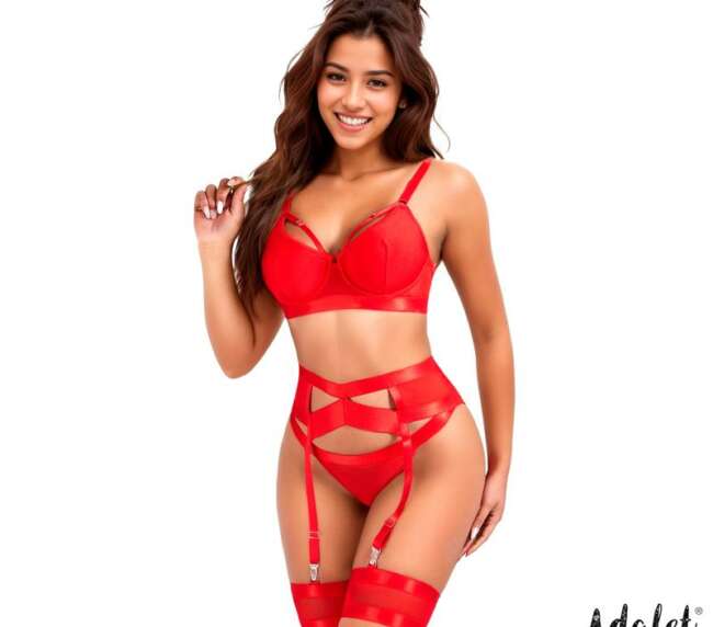 Audrey Set with Garter