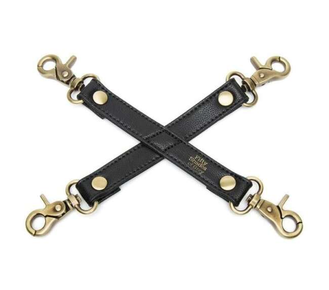 Laisse en cuir synthétique Bound to You