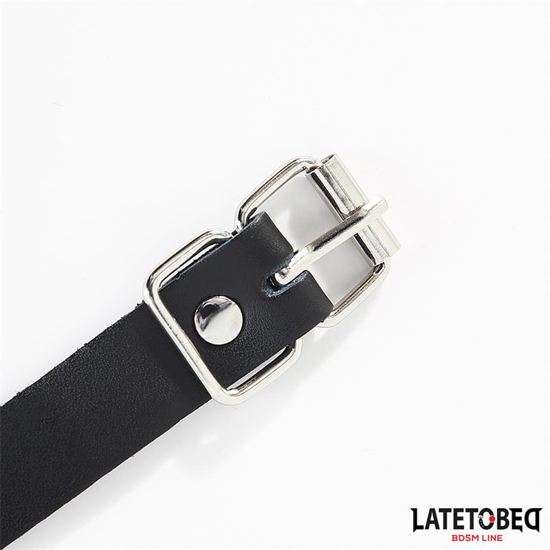 Buckle fastener Ring with Leash – Image 3