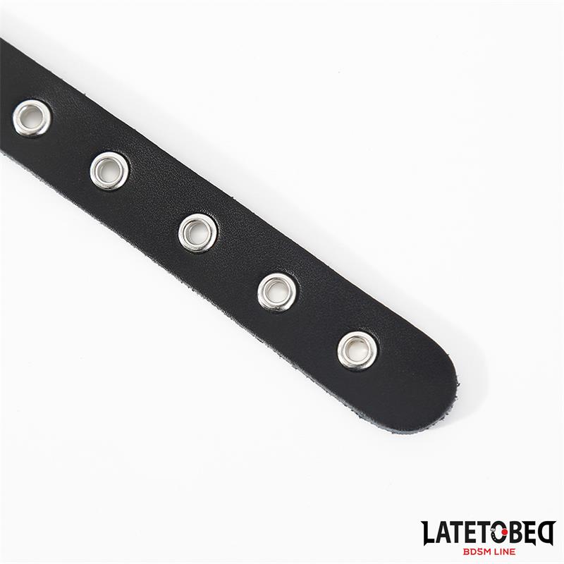 Buckle fastener Ring with Leash – Image 4
