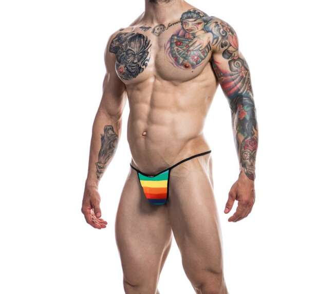 C4M12 Briefkini Rainbow