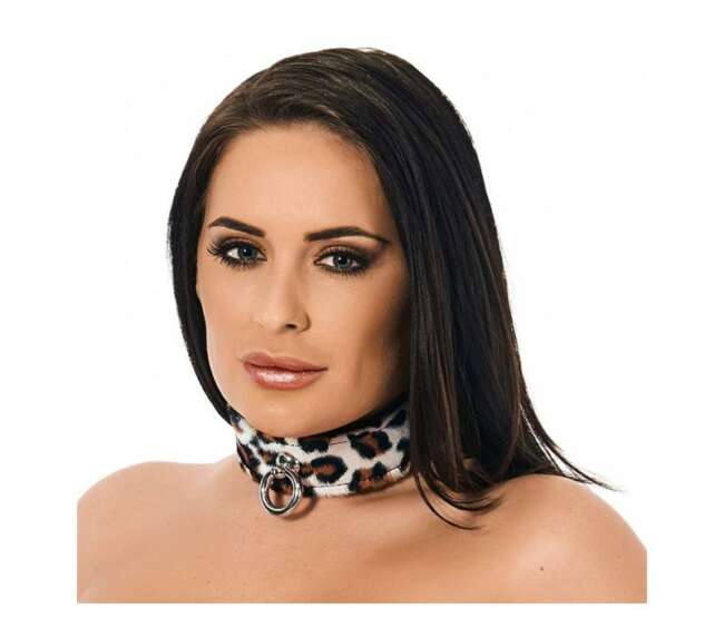 Collar-Adjustable
