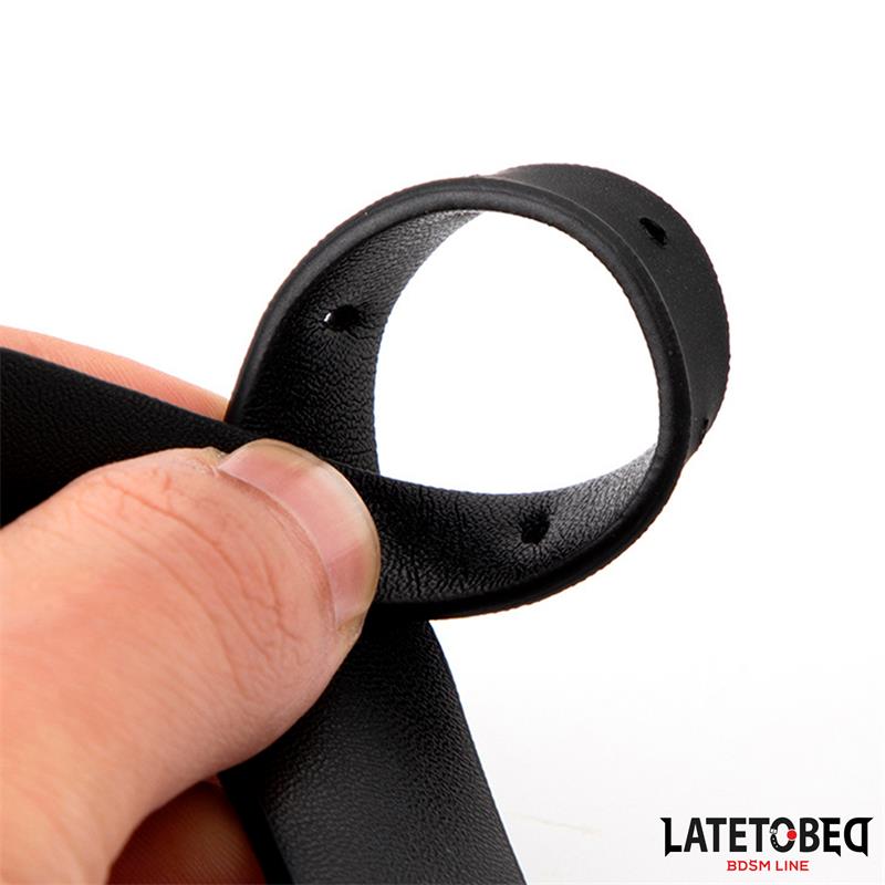 Collar with Bell and Leash – Image 5