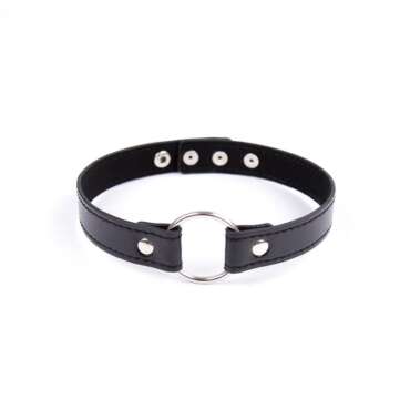 Collar with Hoop Adjustable 38,2 cm Black