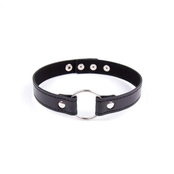 Collar with Hoop Adjustable 38,2 cm Black