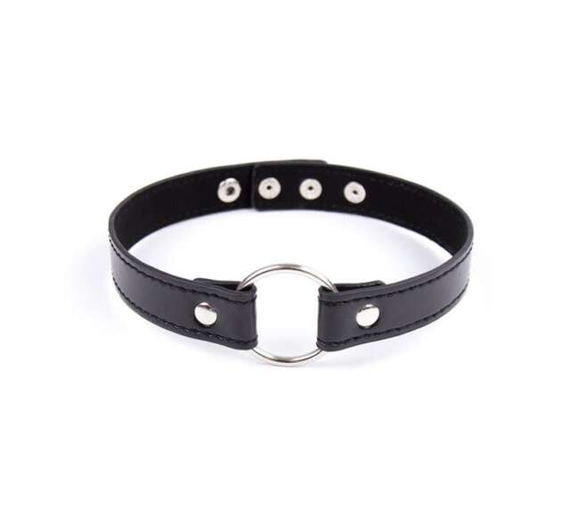 Collar with Hoop Adjustable 38,2 cm Black