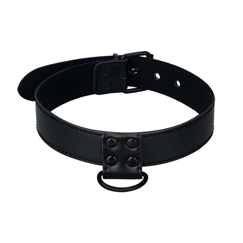 Collar with Leash Black Matt – Image 3