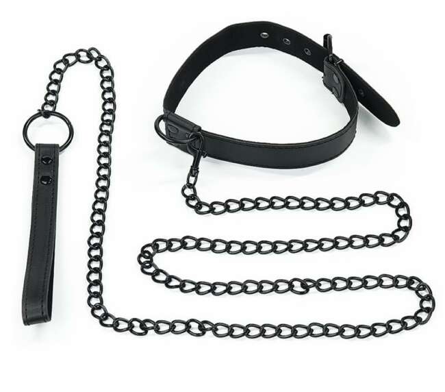 Collar with Leash Black Matt