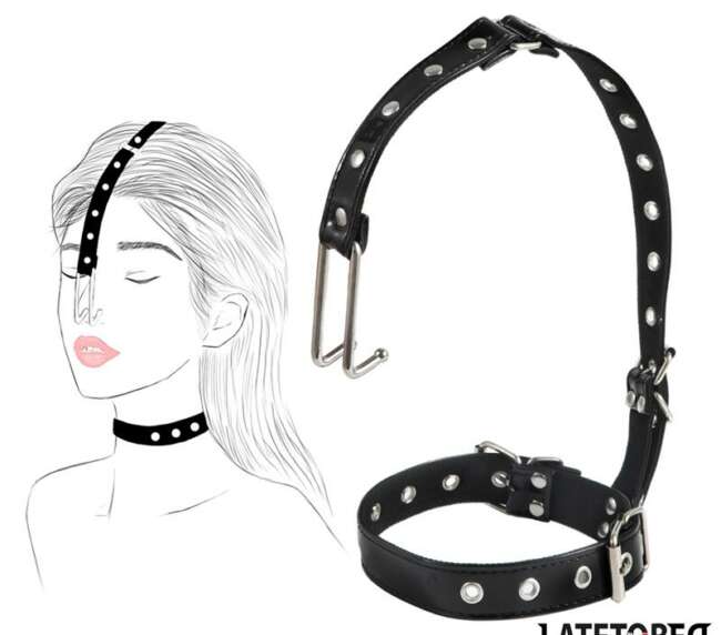 Collar with Nose Hook