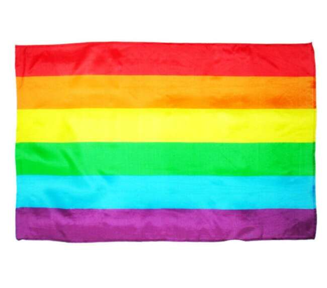 Flag Big LGBT+ Colors