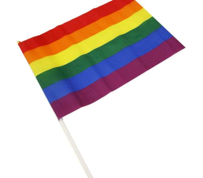 Flah Big LGBT+ Colors