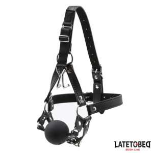 Head Harness with Ball Gag and Nose Hook