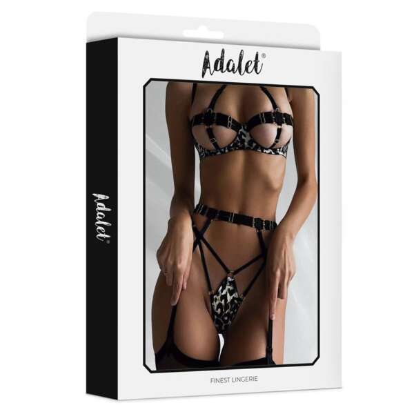 Lily Bra, Thong, Garter Belt, and Leopard Print Garters Set – Image 3