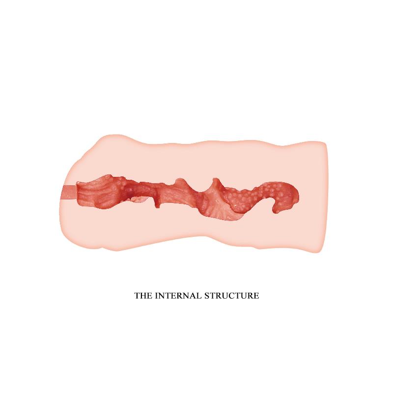 Linda Vagina Masturbator Fresh Surface Flesh – Image 4