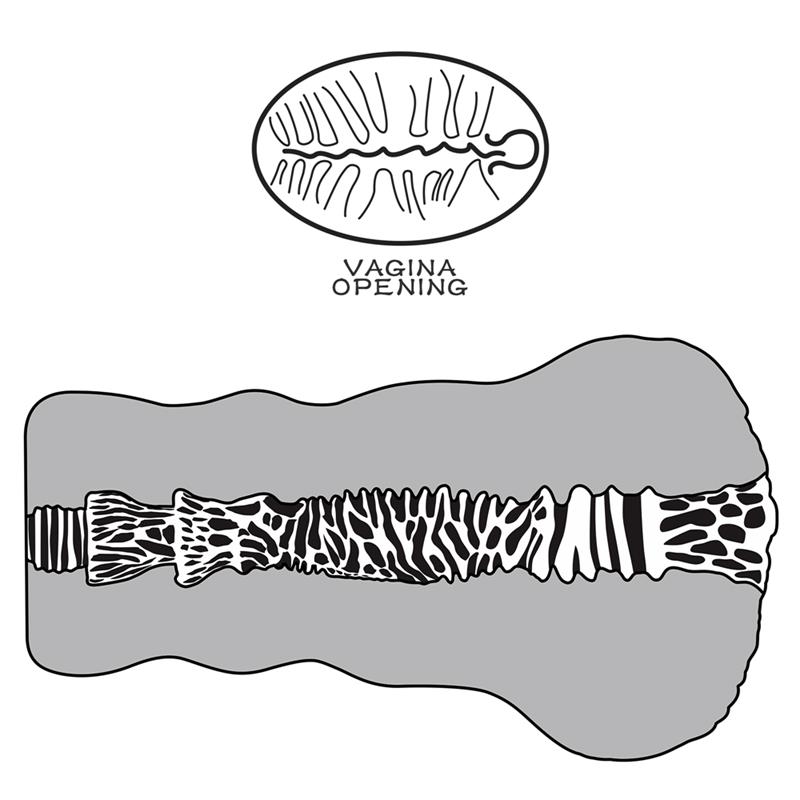 Masturbator Aliens Pie 2 – Image 4