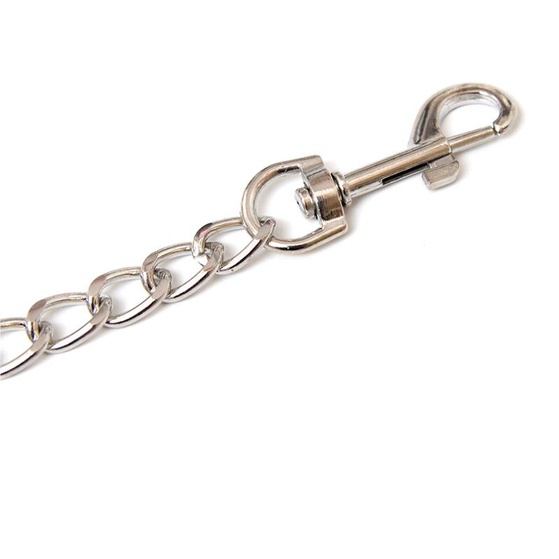 Metal Chain Leash – Image 3