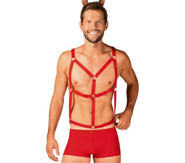 Mr Reindy Shorts, Harness and Headband Set