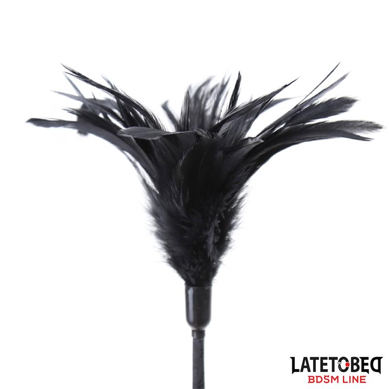 Multi Feathers Tickler and Lace Ribbon Paddle Comb – Image 3