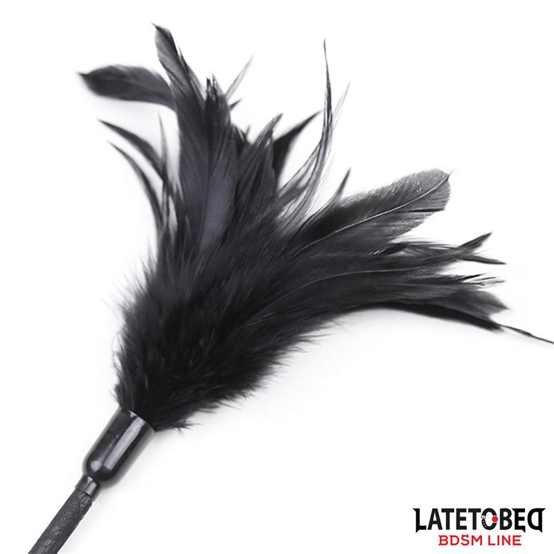 Multi Feathers Tickler and Lace Ribbon Paddle Comb – Image 8