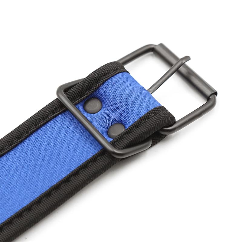 Neoprene Puppy Collar Adjustable Blue – Image 4