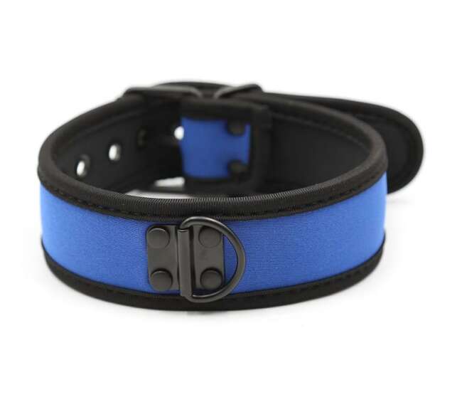 Neoprene Puppy Collar Adjustable Blue