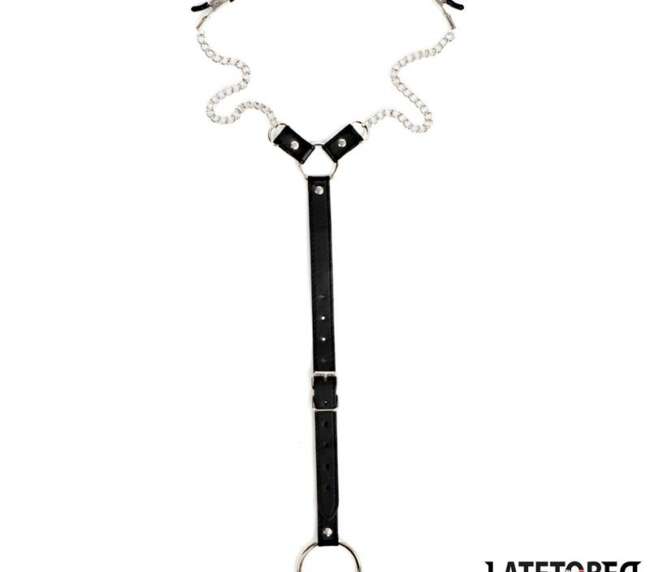 Nipple Clamps With Penis Ring