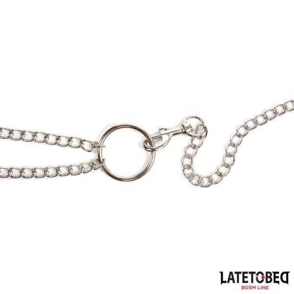 Nipple Clamps With Penis Ring – Image 6