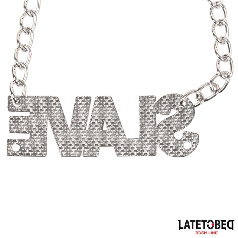 Nipple Clamps with Slave – Image 4