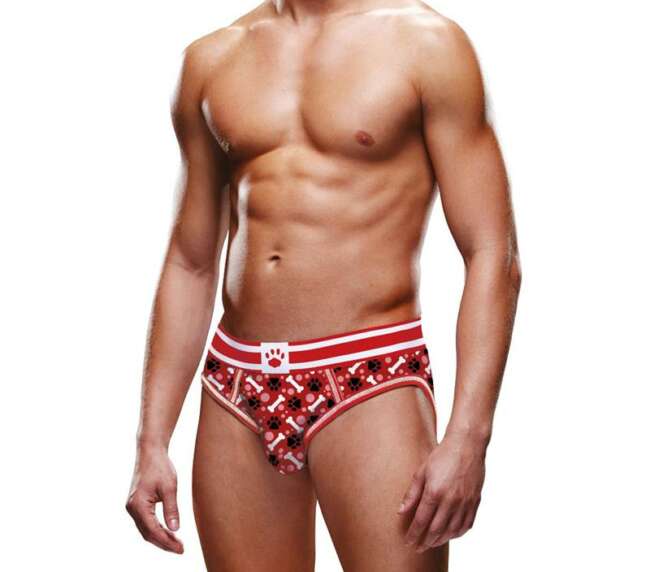 Open Brief with Reindeer