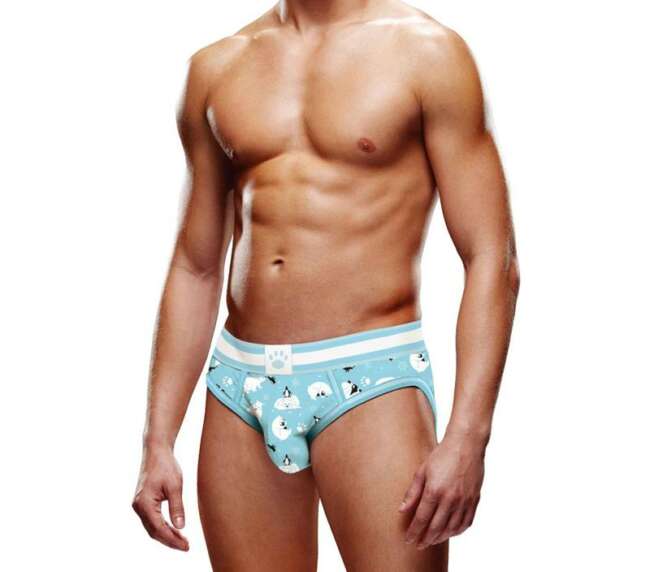 Glissoir ouvert Animaux d'hiver