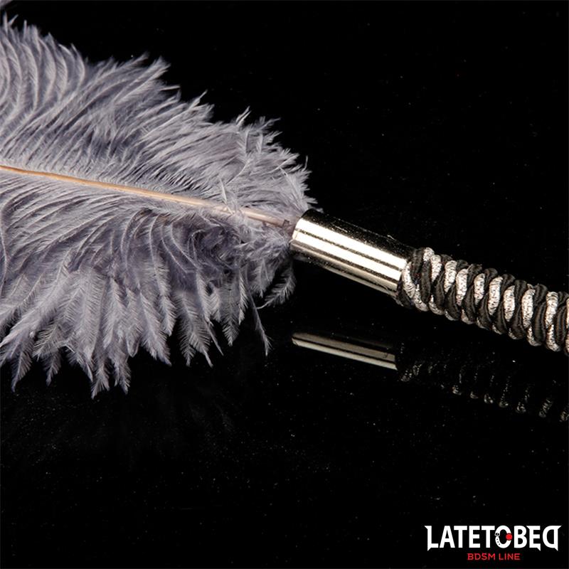 Ostrich Feather 44 cm – Image 3