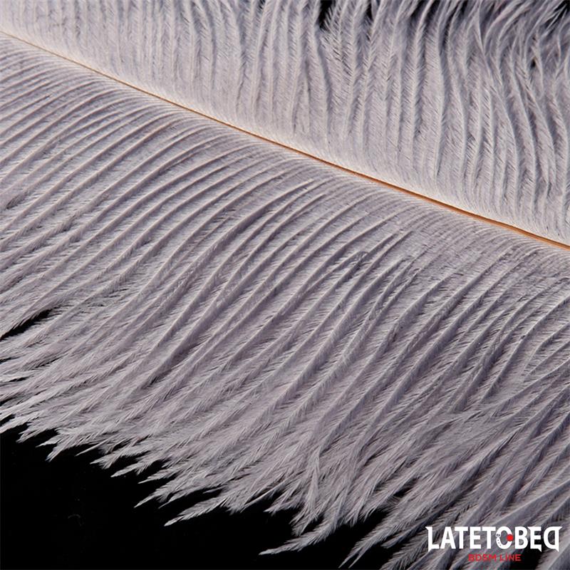 Ostrich Feather 44 cm – Image 4