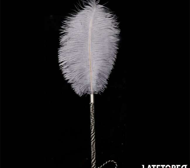 Ostrich Feather 44 cm