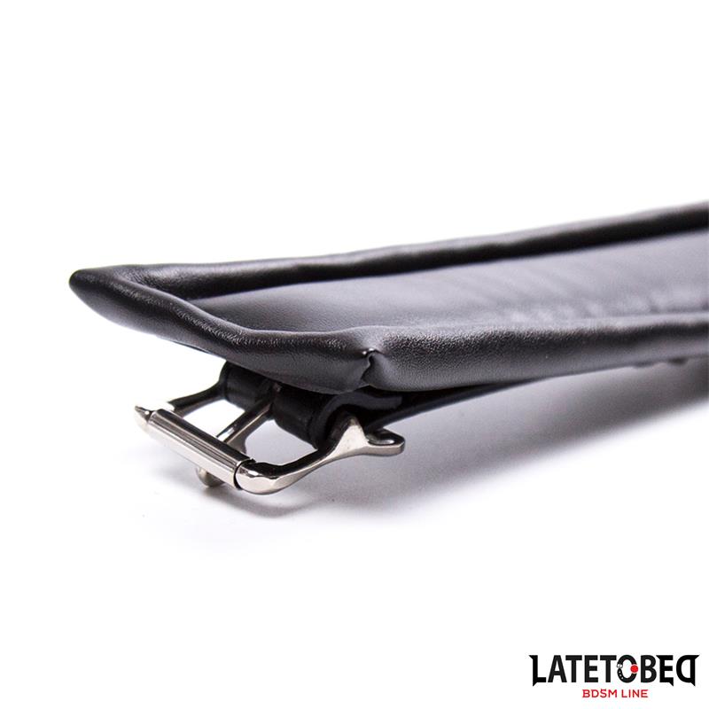 Padded Collar with Leash – Image 5