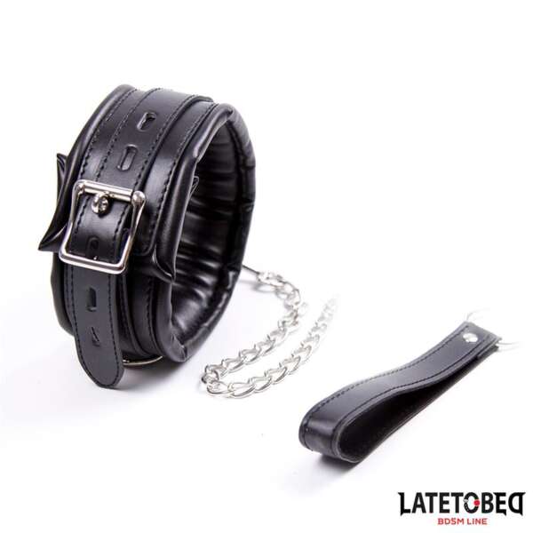 Padded Collar with Leash