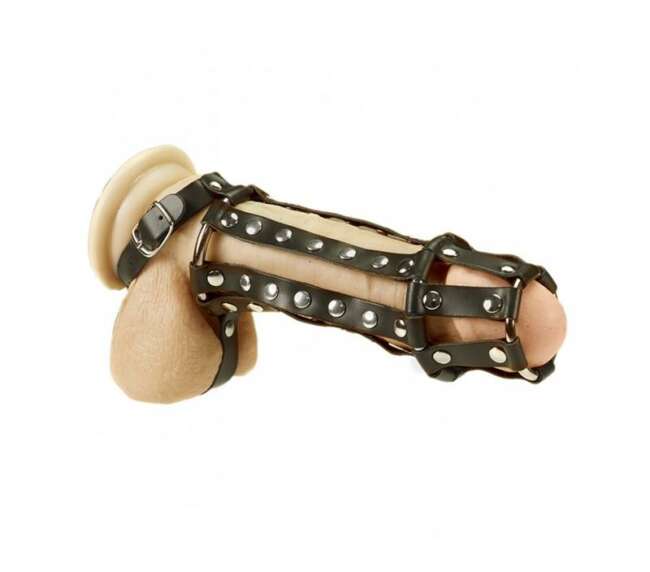 Penis and Ball Harness
