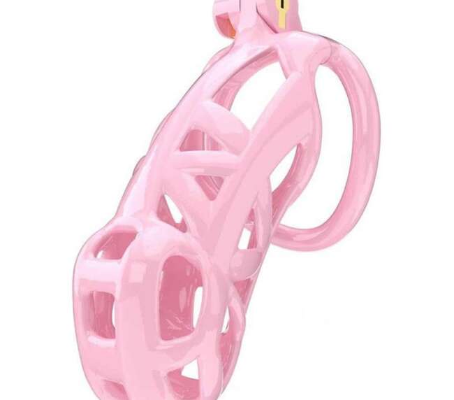 Penis Cage PC01 Pink