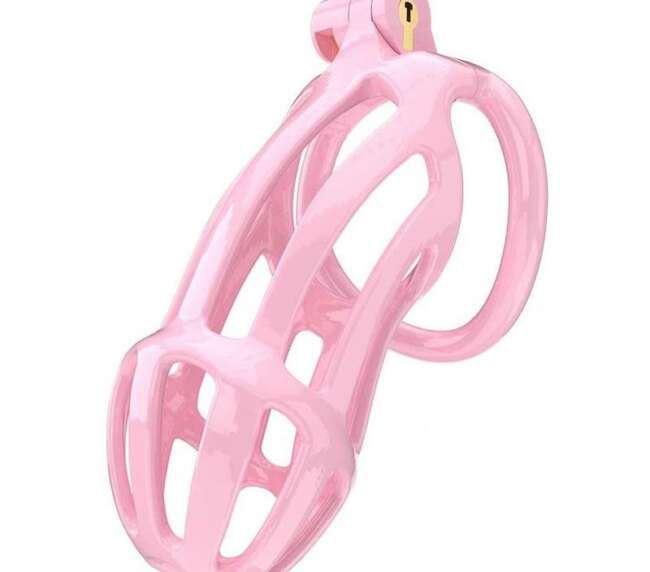 Penis Cage PC02 Pink
