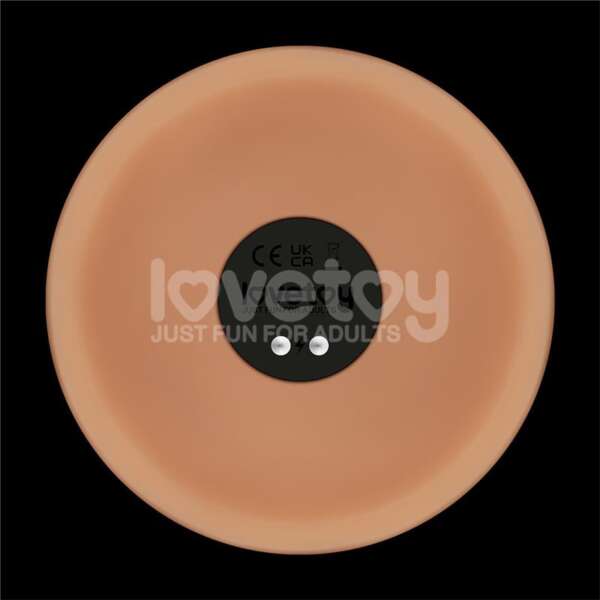 Power Basics Dildo with Vibration 10 – Image 3