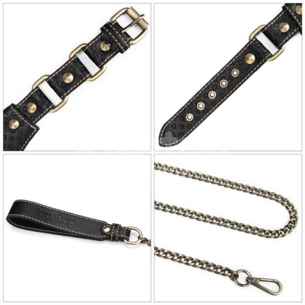 Rebellion Reign Collar with Chain – Image 9