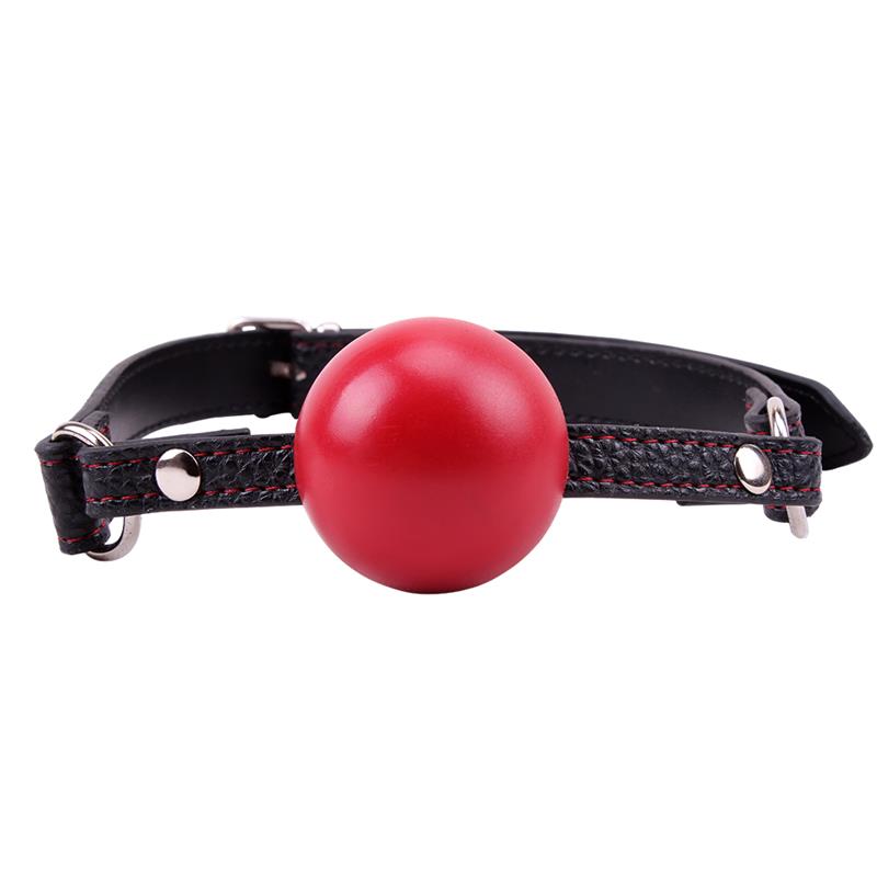 Red Ball Gag – Image 4